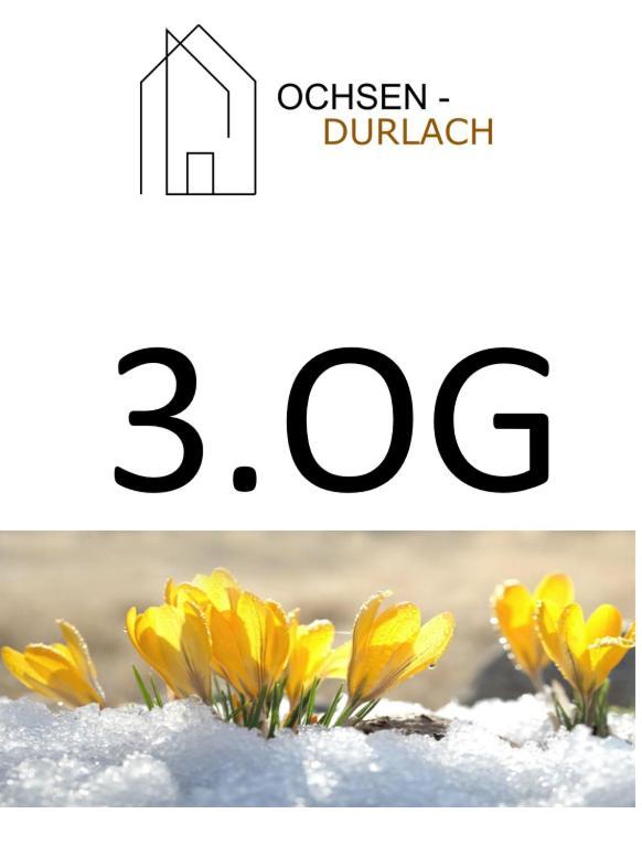 Ochsen-Durlach カールスルーエ 部屋 写真