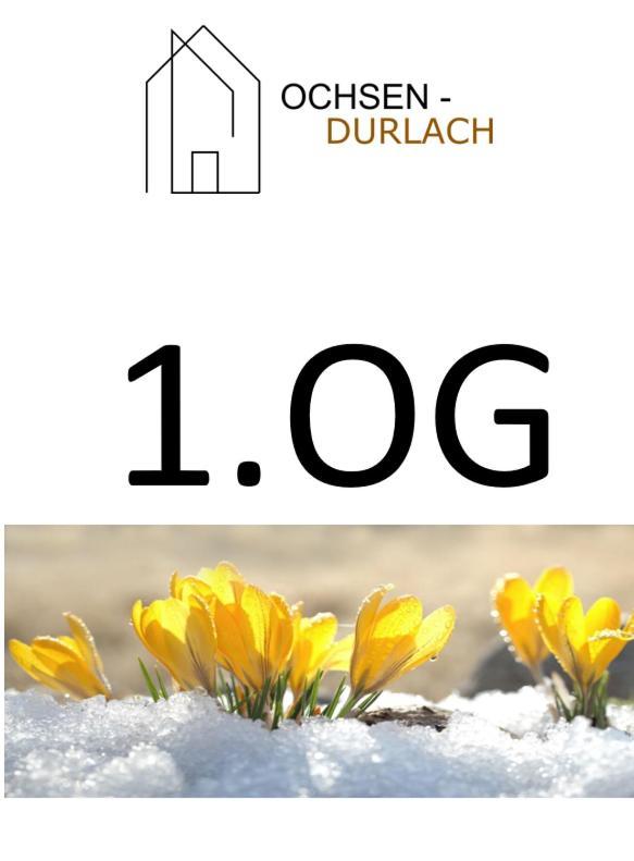 Ochsen-Durlach カールスルーエ エクステリア 写真